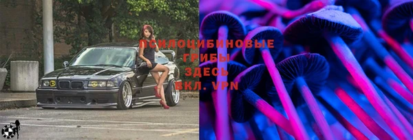 гашик Покачи