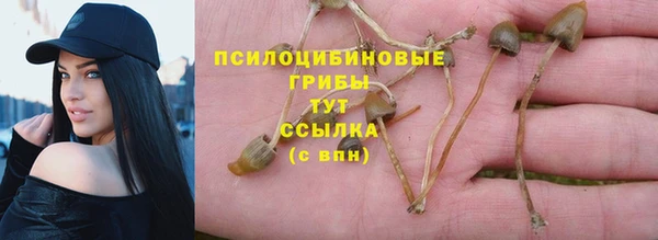 марки lsd Вяземский