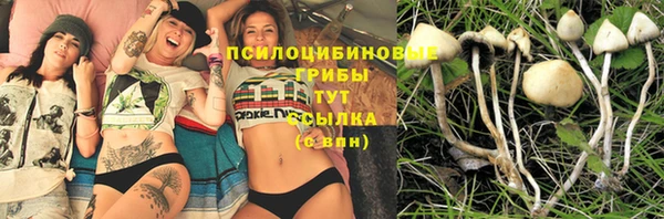 гашик Покачи