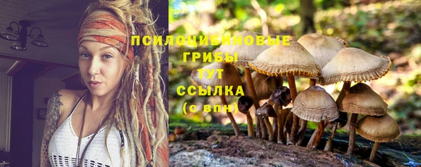 СК Усмань