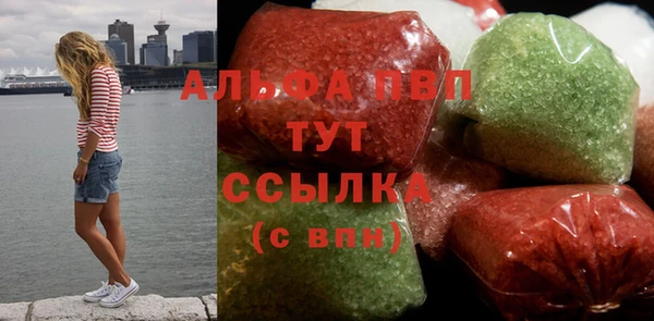 хмурый Пересвет