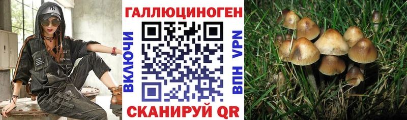 Галлюциногенные грибы Magic Shrooms  где продают наркотики  Анапа 
