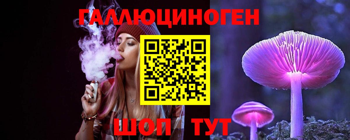 Псилоцибиновые грибы Psilocybine cubensis Анапа