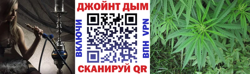 Бошки Шишки план  Анапа 